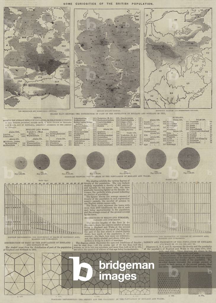 Some Curiosities of the British Population (engraving)