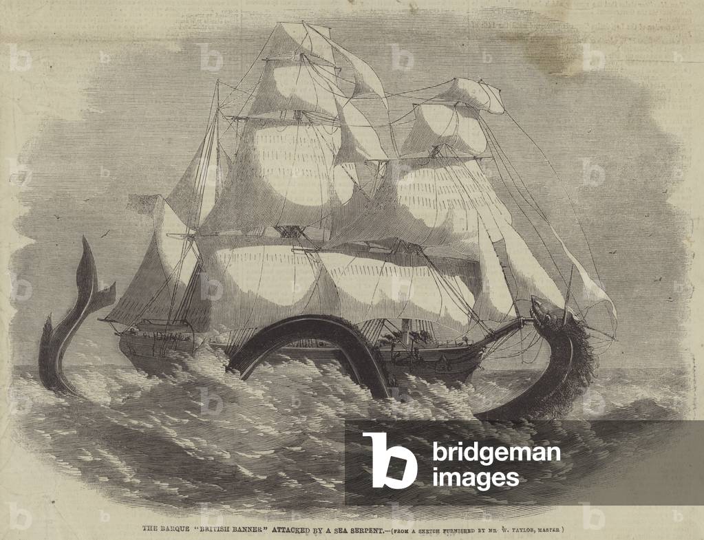 The Barque 