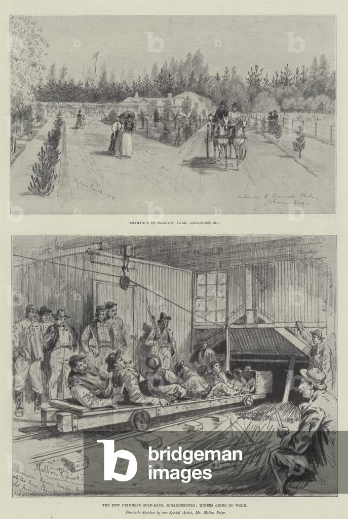 Sketches of South Africa (litho)