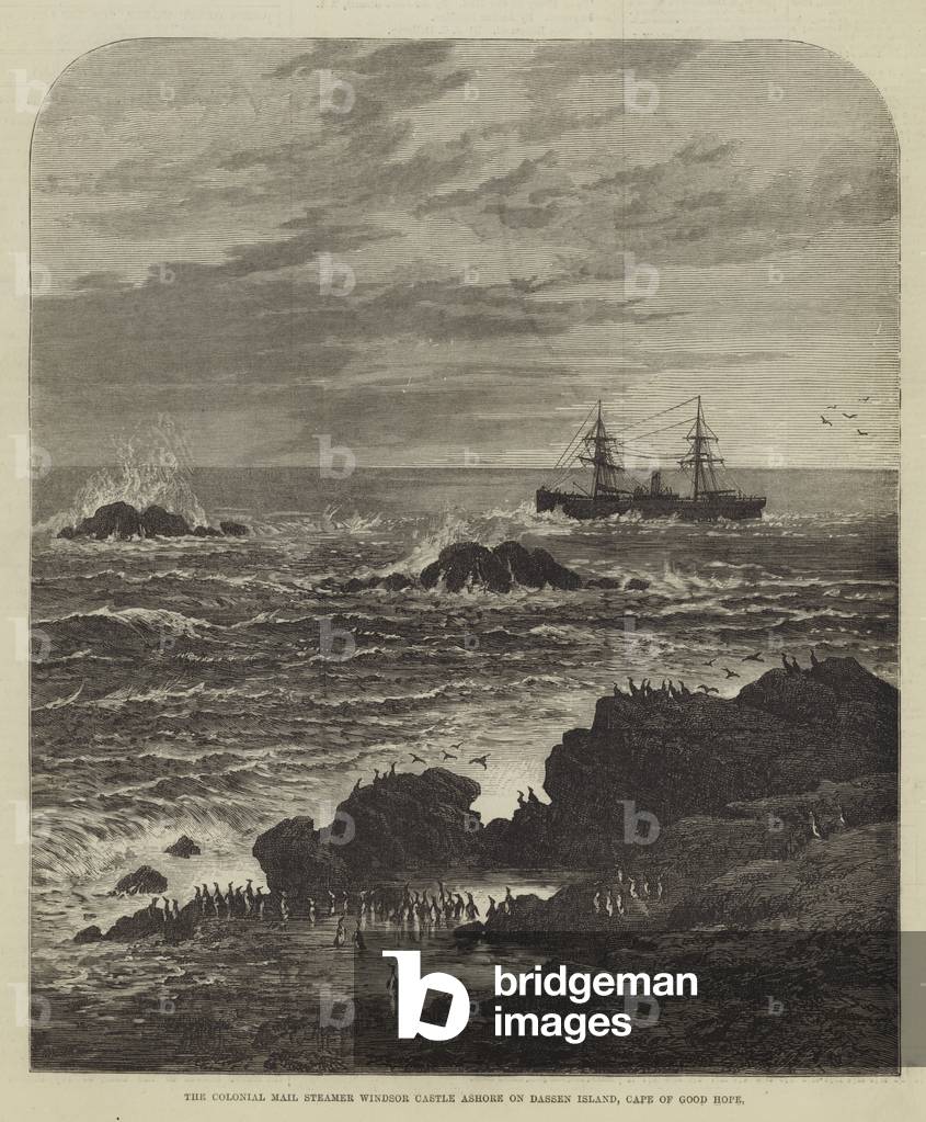 The Colonial Mail Steamer Windsor Castle ashore on Dassen Island, Cape of Good Hope (engraving)