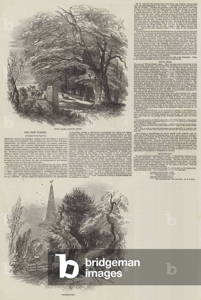 The New Forest (engraving)