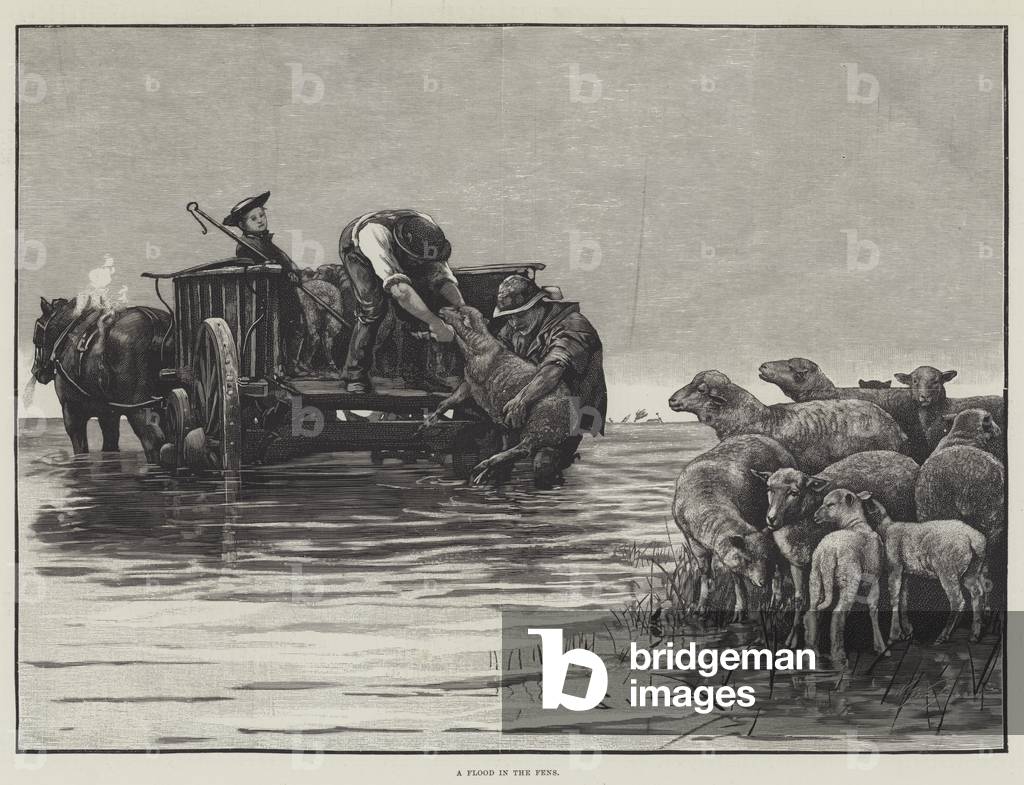 A Flood in the Fens (engraving)