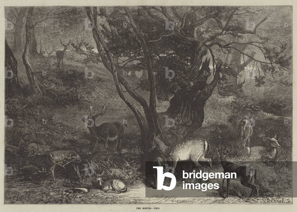 The Months, July (engraving)