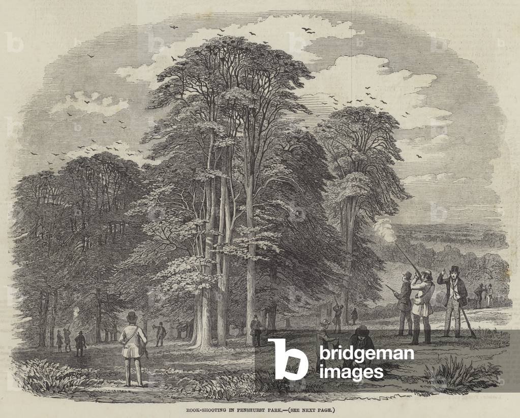 Rook-Shooting in Penshurst Park (engraving)