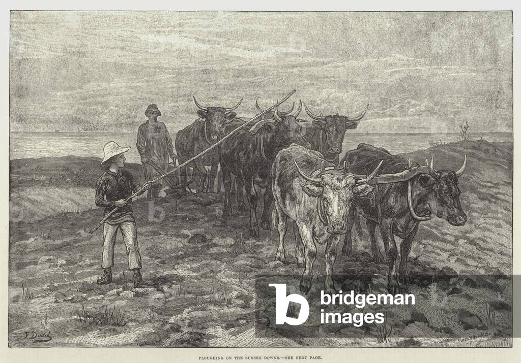Ploughing on the Sussex Downs (engraving)