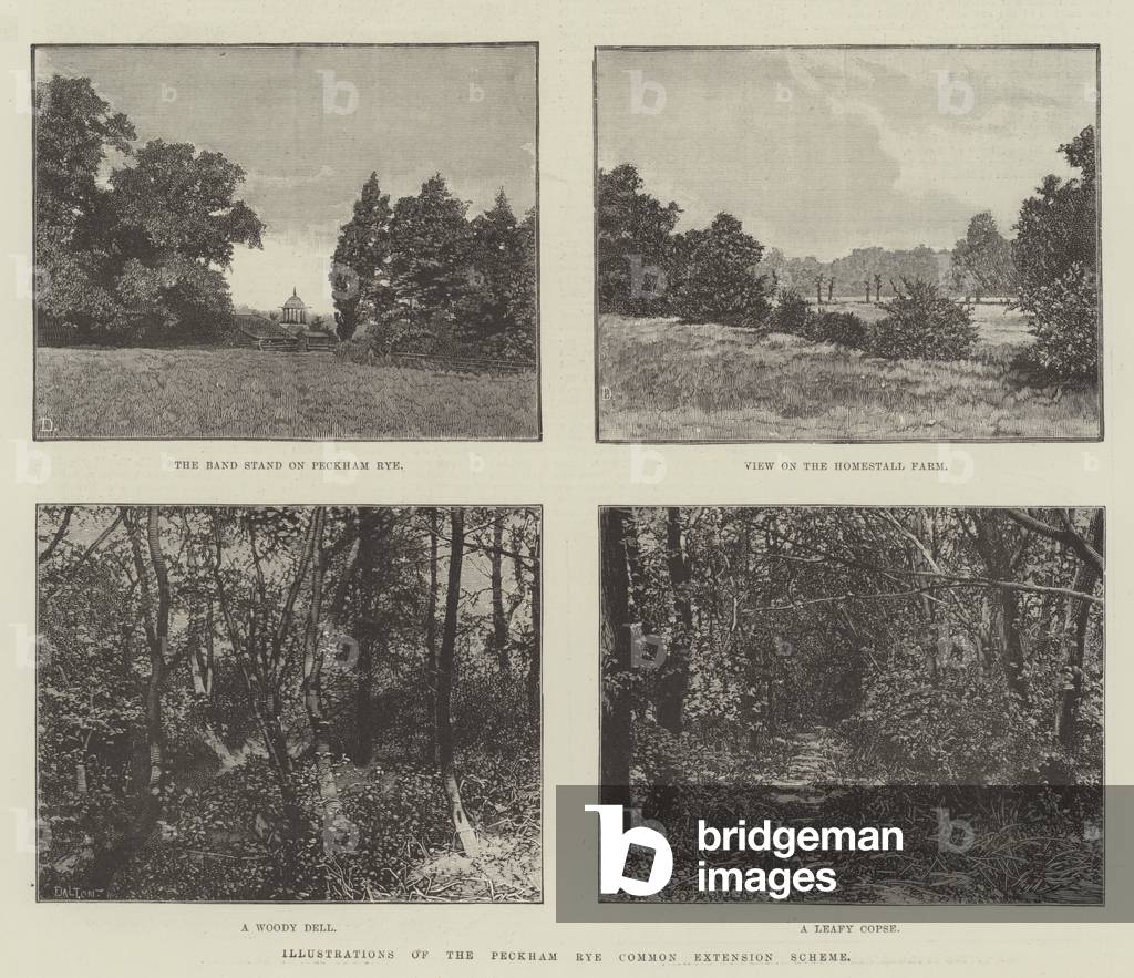 Illustrations of the Peckham Rye Common Extension Scheme (engraving)