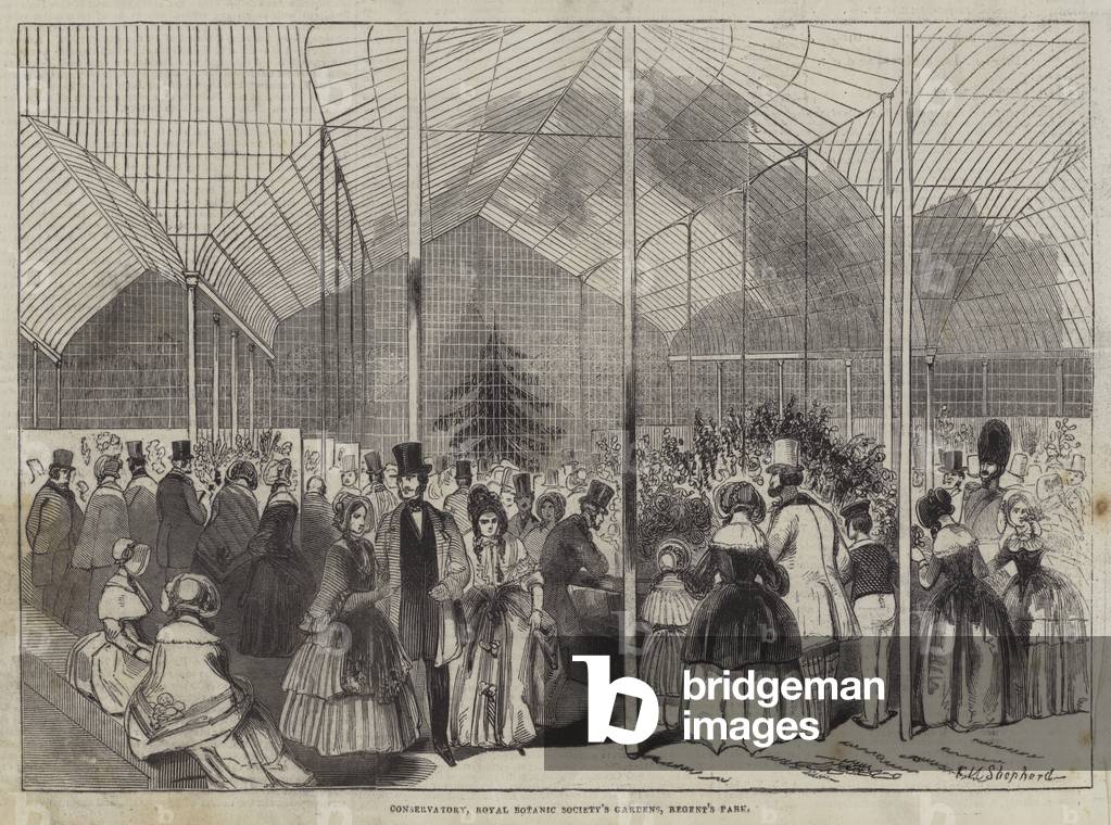 Conservatory, Royal Botanic Society's Gardens, Regent's Park (engraving)