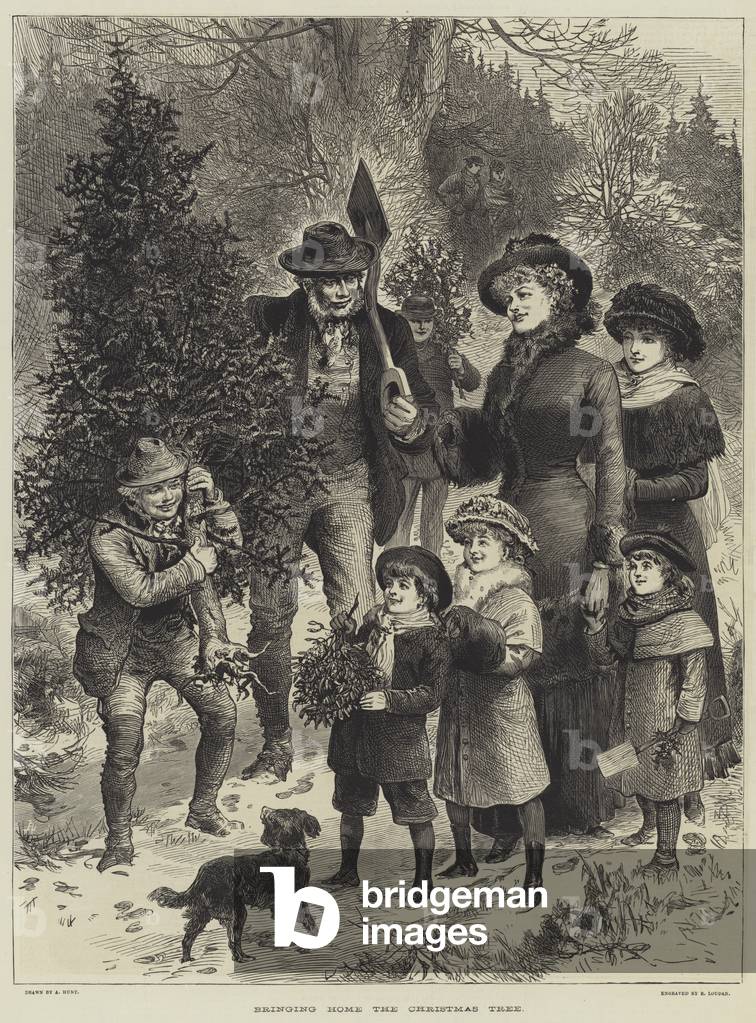 Bringing Home The Christmas Tree (engraving)