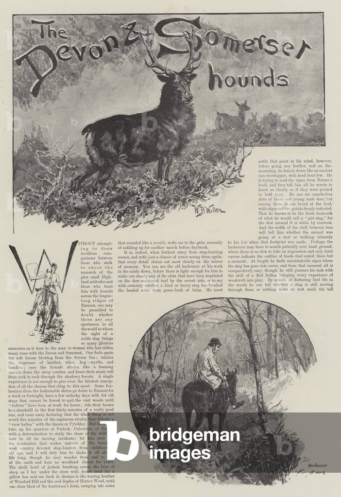 The Devon and Somerset Hounds (engraving)
