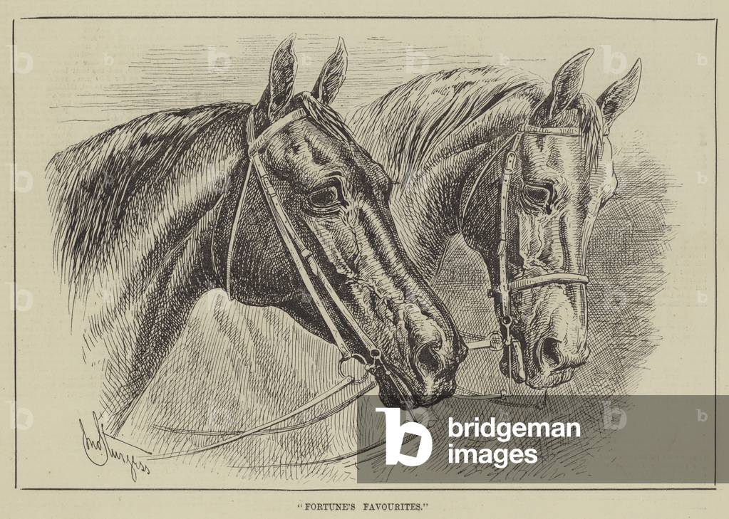 Fortune's Favourites (engraving)