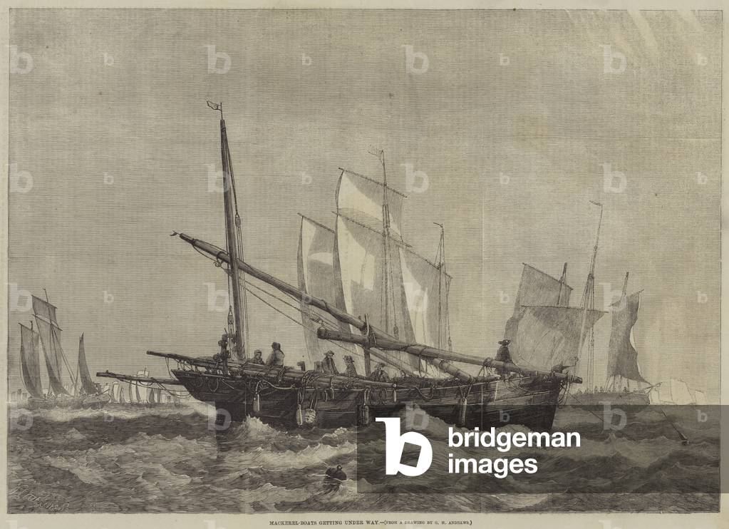 Mackerel-Boats getting under way (engraving)