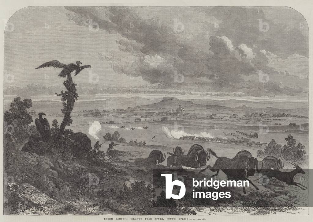 Bloem Fontein, Orange Free State, South Africa (engraving)