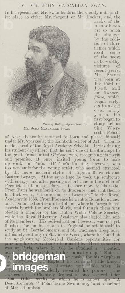 Mr John Maccallan Swan (engraving)