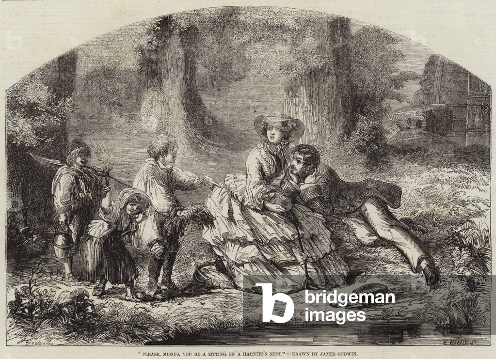 Please, Missus, You be A Zitting on A Harnitt's Nest (engraving)