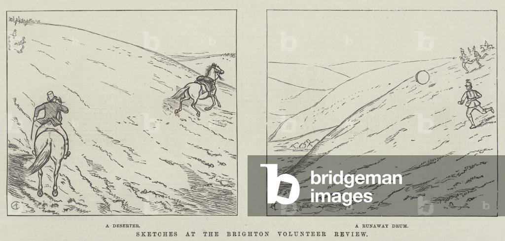 Sketches at the Brighton Volunteer Review (engraving)