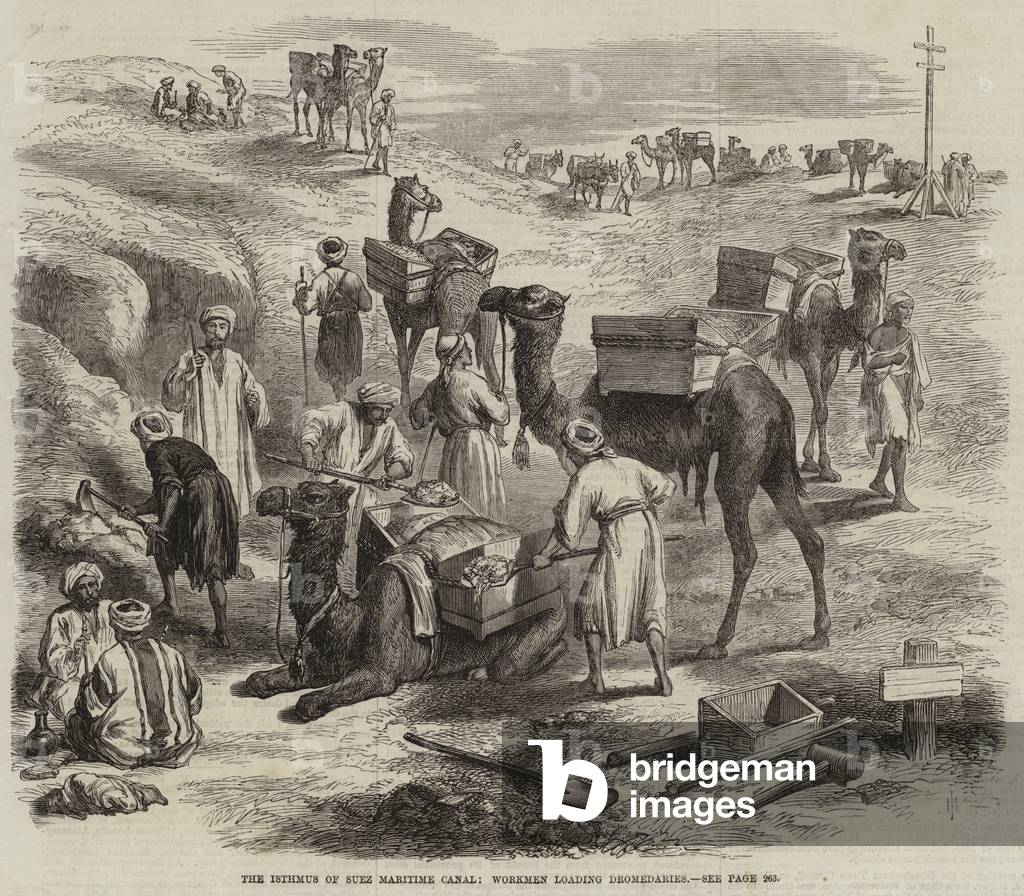The Isthmus of Suez Maritime Canal, Workmen loading Dromedaries (engraving)