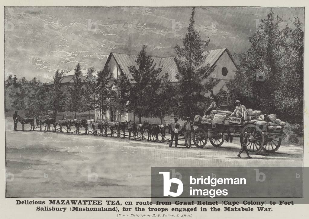 Advertisement, Mazawattee Tea (engraving)