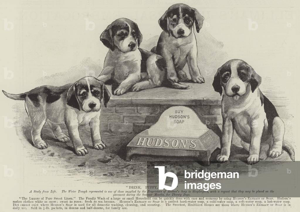 Advertisement, Hudson's Soap (engraving)