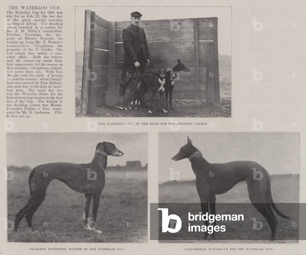 The Waterloo Cup (b/w photo)