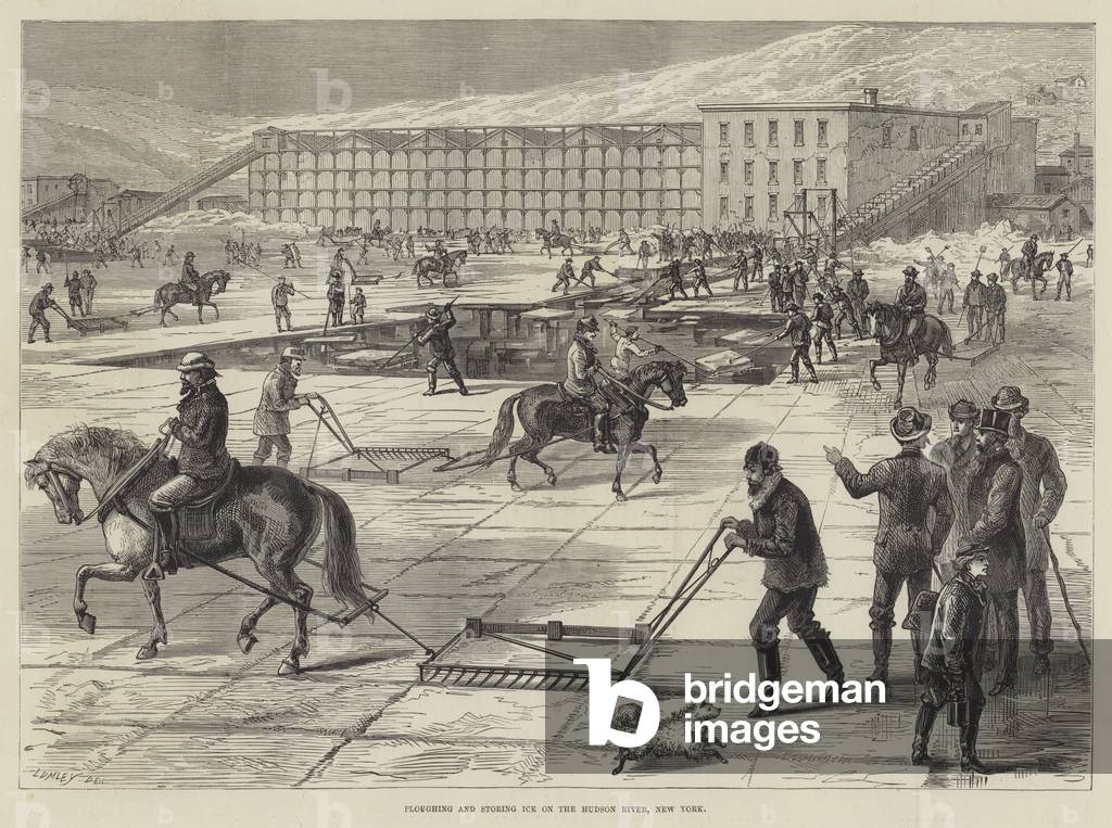 Ploughing and storing Ice on the Hudson River, New York (engraving)