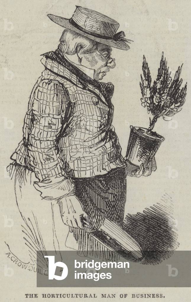 The Horticultural Man of Business (engraving)