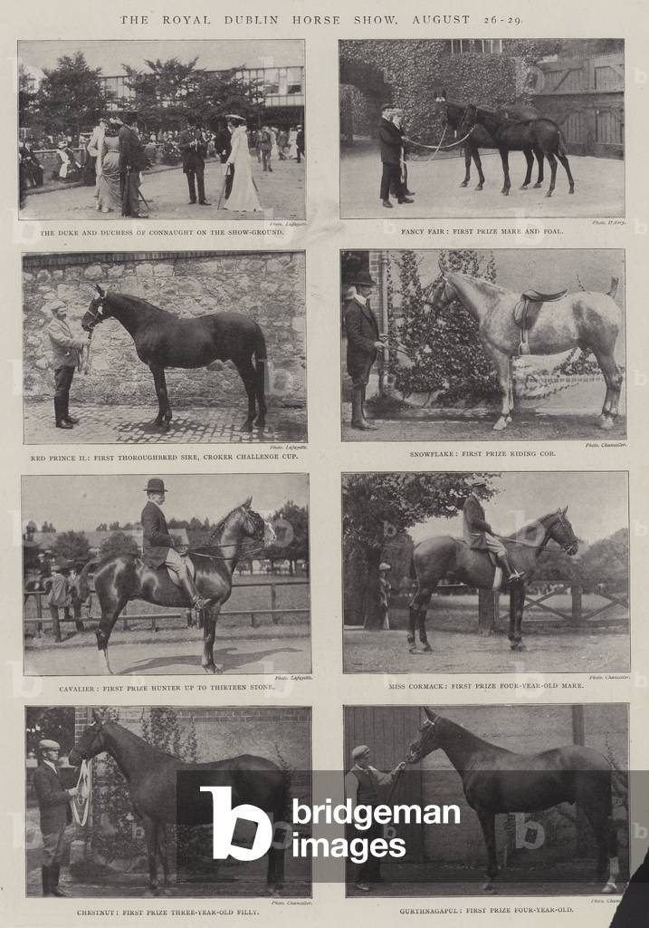 The Royal Dublin Horse Show, 26-29 August (b/w photo)