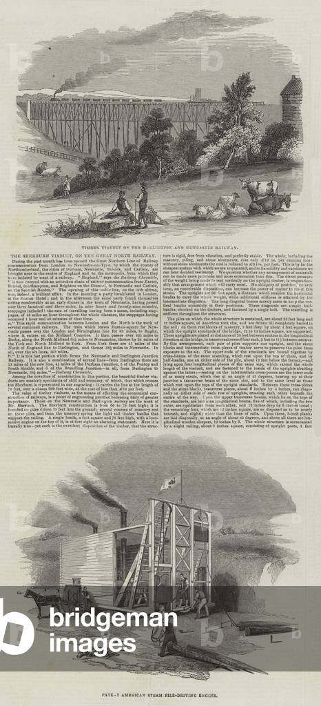 The Sherburn Viaduct, on the Great North Railway (engraving)