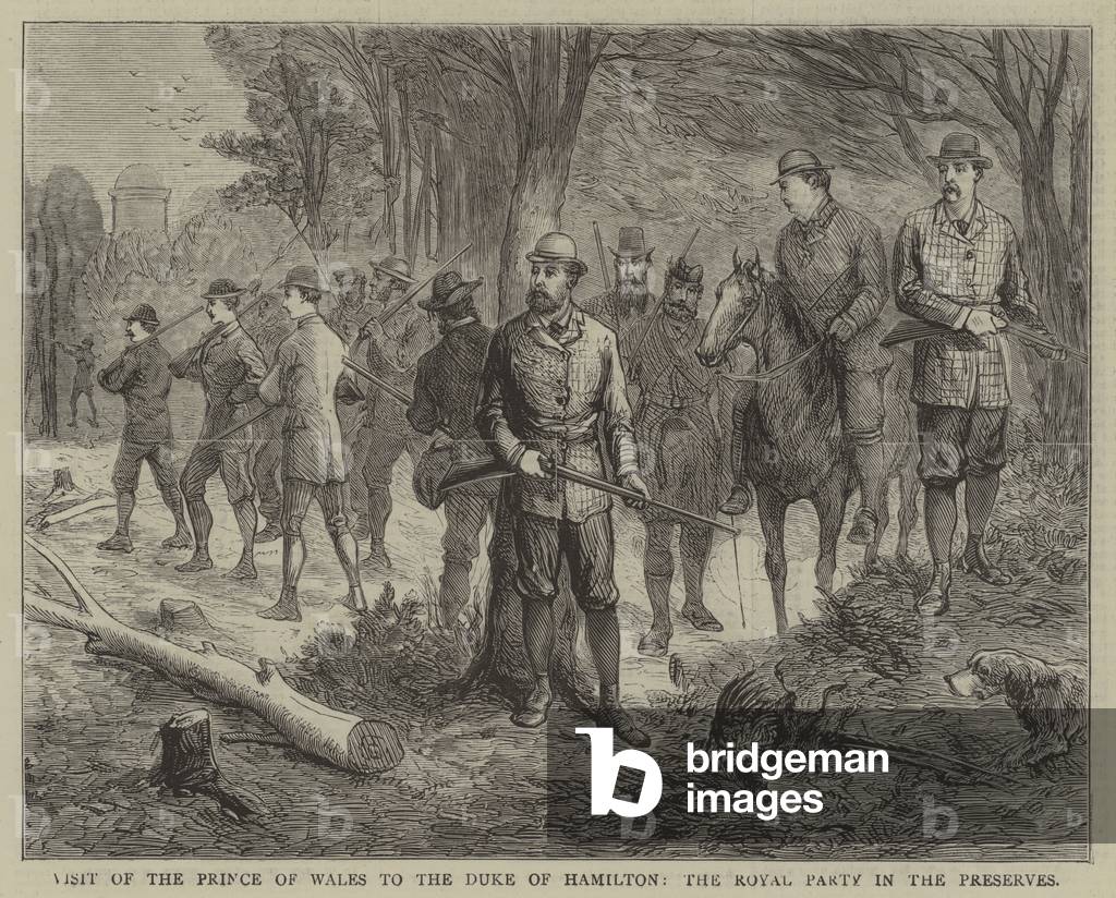 Visit of the Prince of Wales to the Duke of Hamilton, the Royal Party in the Preserves (engraving)