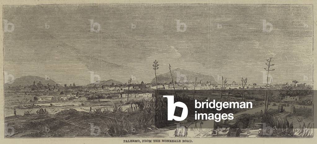 Palermo, from the Monreale Road (engraving)