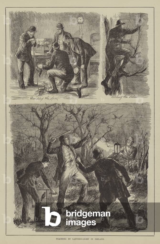 Poaching by Lantern-Light in Ireland (engraving)