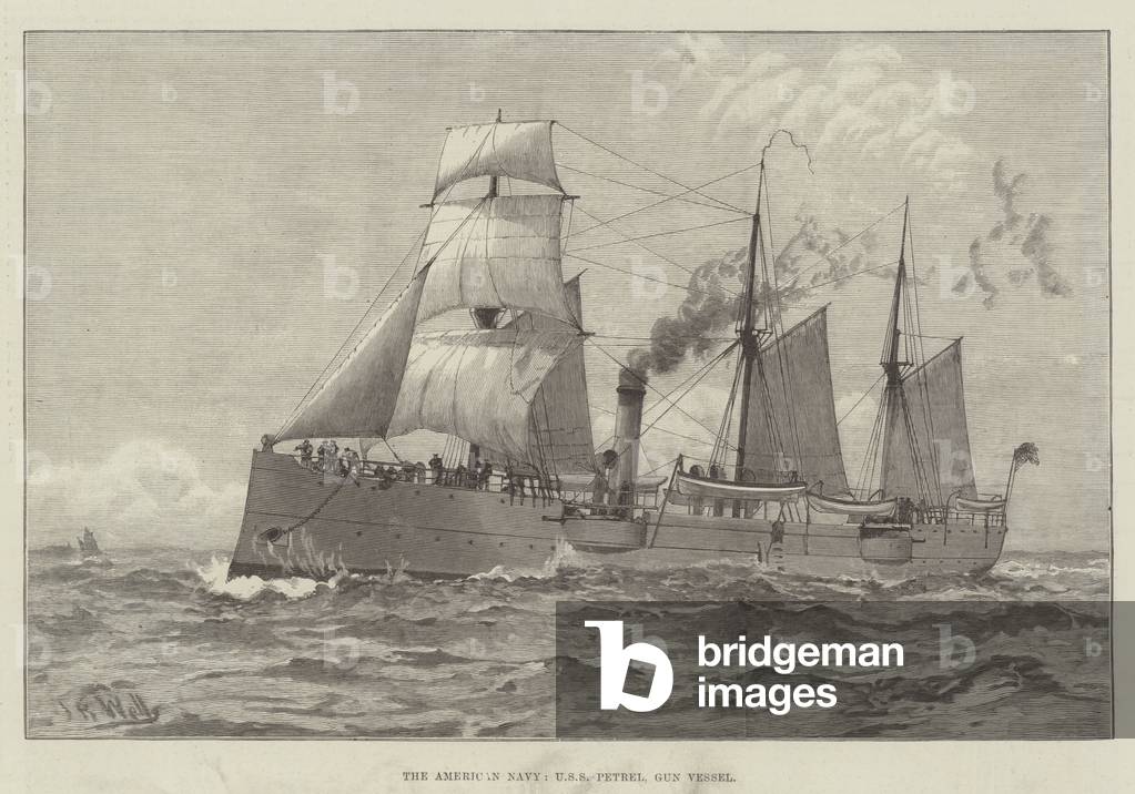 The American Navy, USS Petrel, Gun Vessel (engraving)