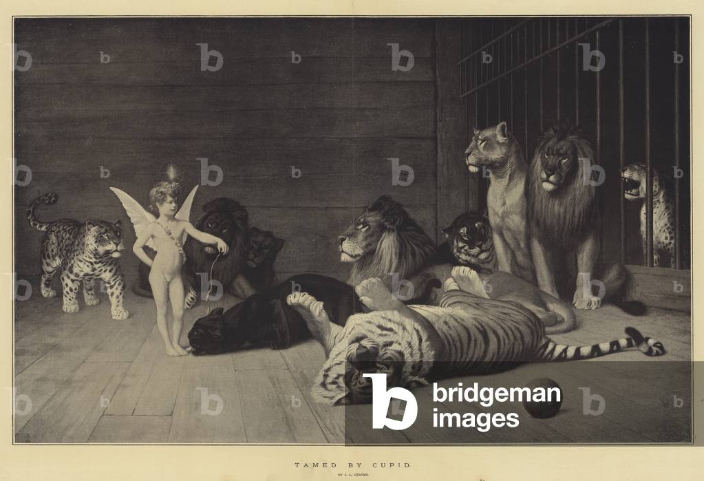 Tamed by Cupid (litho)