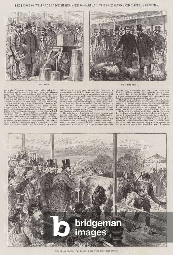 The Prince of Wales at the Dorchester Meeting, Bath and West of England Agricultural Association (engraving)