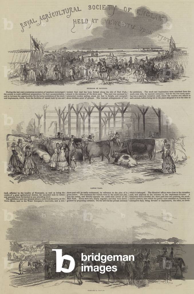 Royal Agricultural Society of England held at Newcastle upon Tyne (engraving)