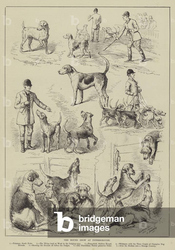 The Hound Show at Peterborough (engraving)