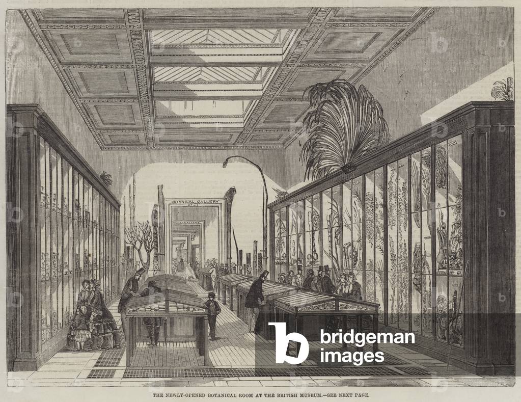 The Newly-Opened Botanical Room at the British Museum (engraving)
