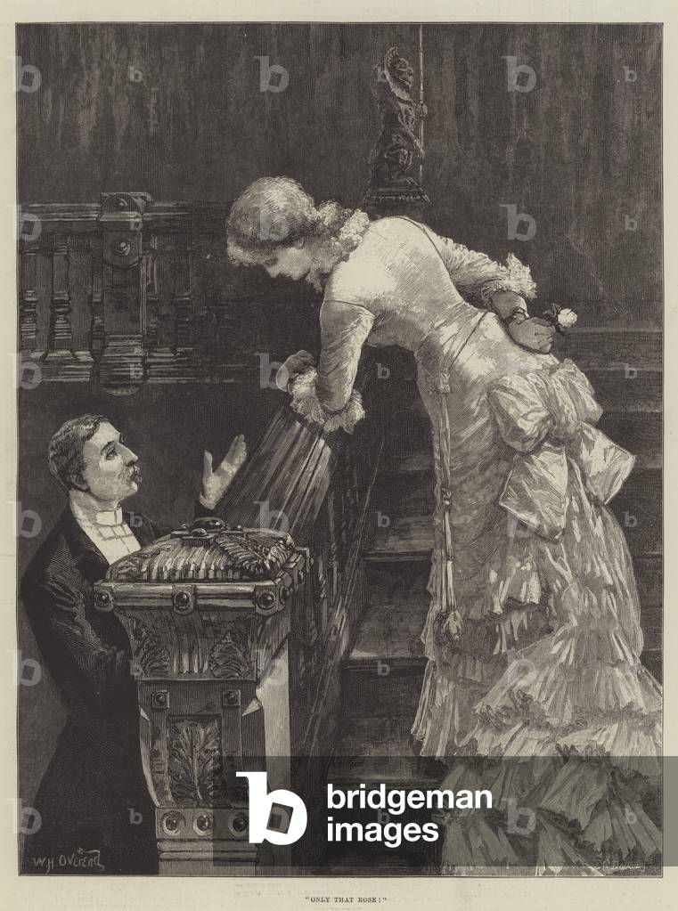 Only that Rose! (engraving)