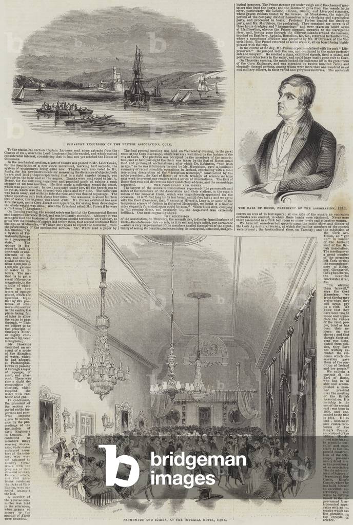 Meeting of the British Association at Cork (engraving)