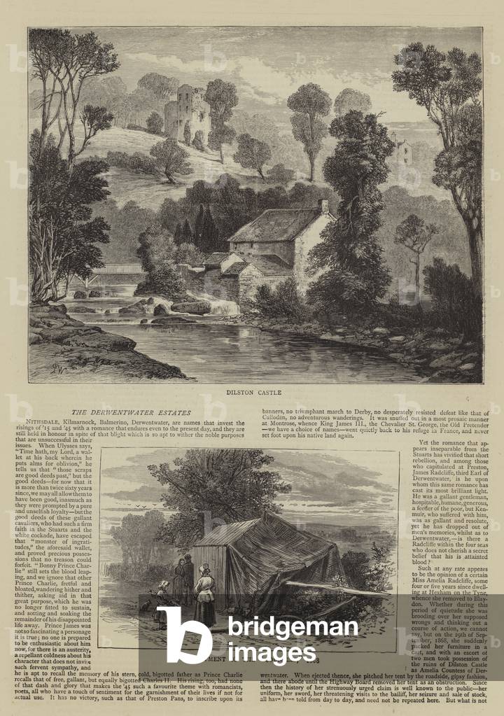 The Derwentwater Estates (engraving)