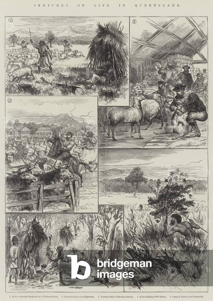 Sketches of Life in Queensland (engraving)