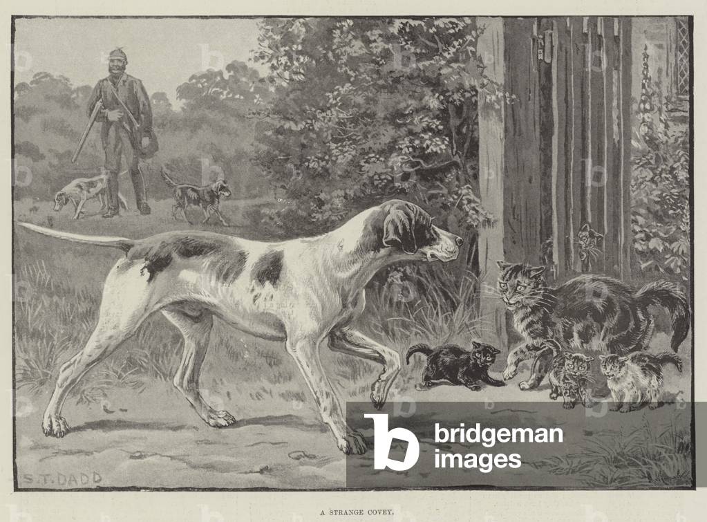 A Strange Covey (litho)