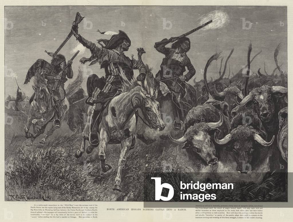 North American Indians running Cattle into a Ranch (engraving)