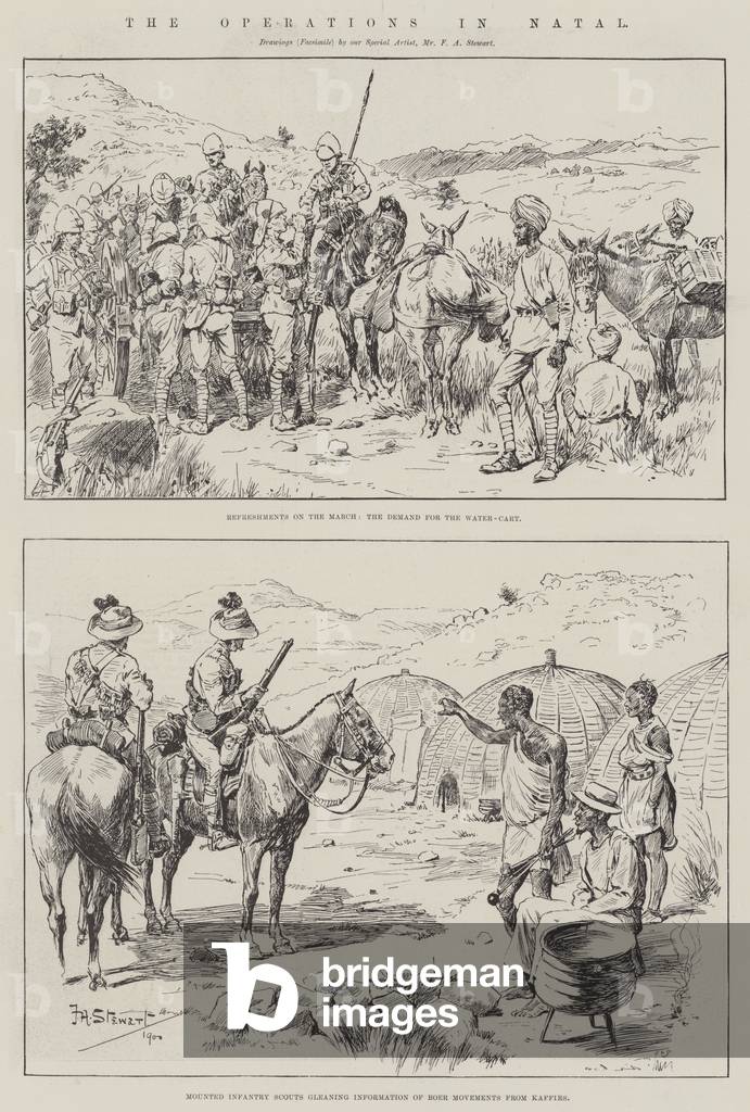 The Operations in Natal (engraving)