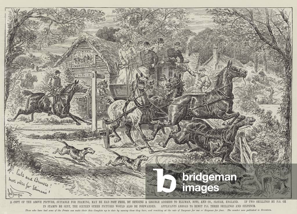 Advertisement, Elliman, Sons and Company (engraving)