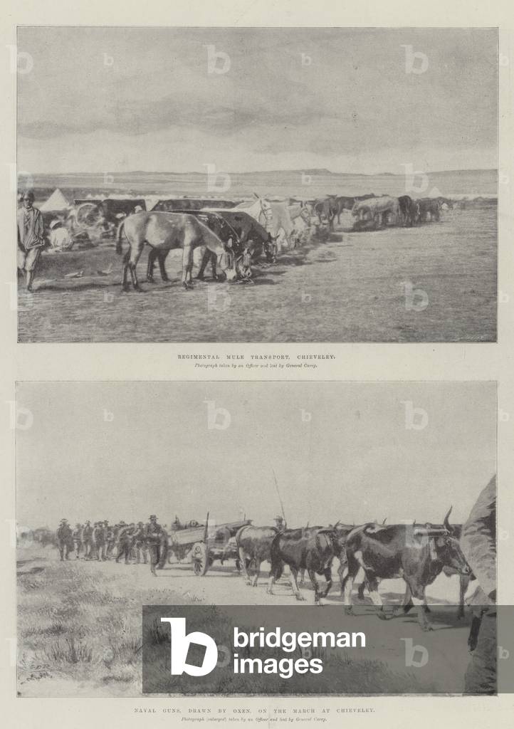 Scenes in Chieveley (litho)