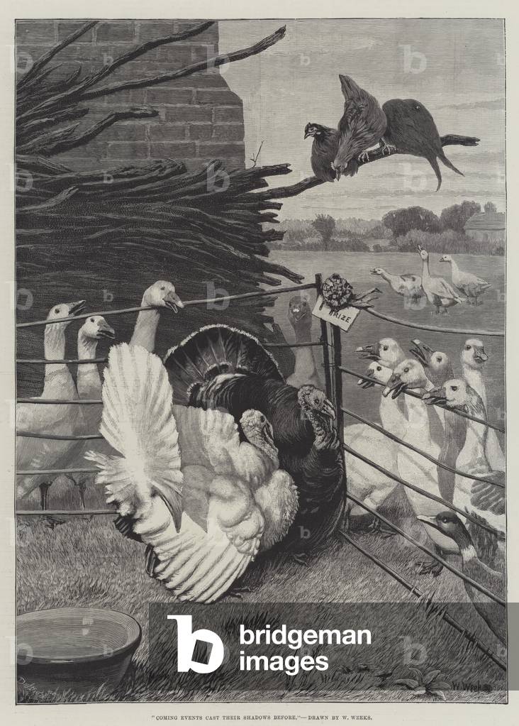 Coming Events Cast Their Shadows Before (engraving)