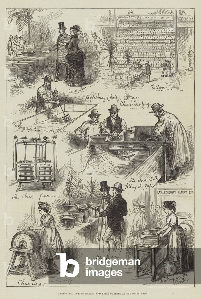 Cheese and Butter Making and Prize Cheeses at the Dairy Show (engraving)