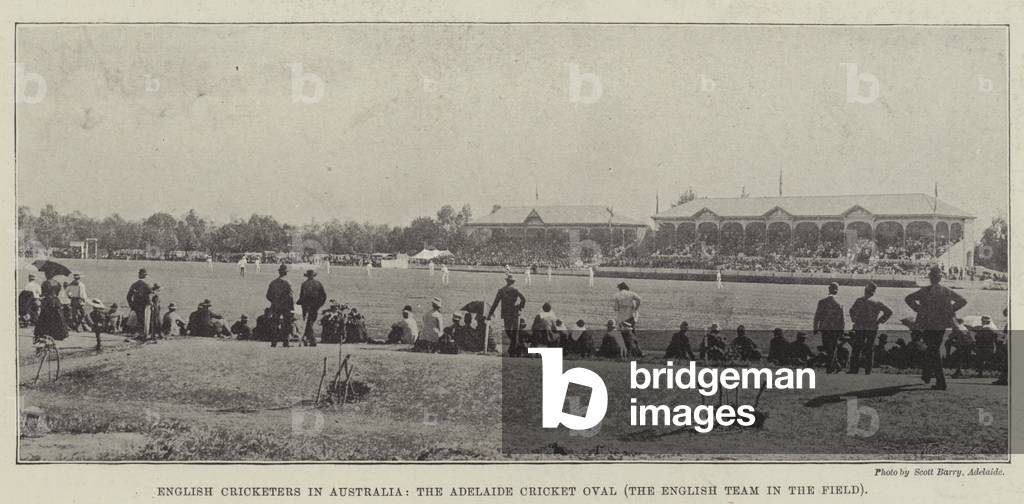 English Cricketers in Australia, the Adelaide Cricket Oval, the English Team in the Field (b/w photo)