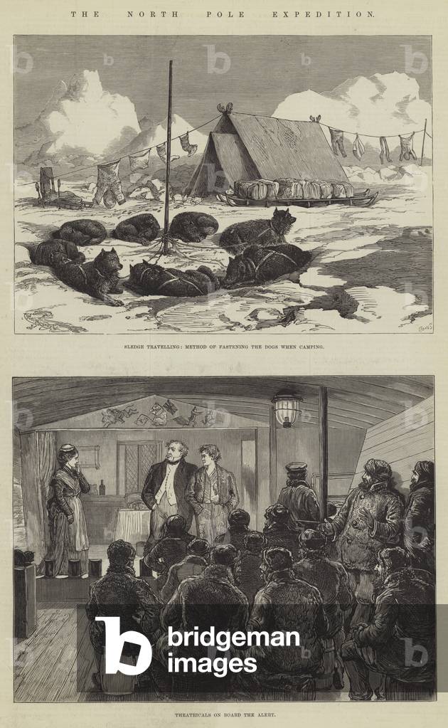 The North Pole Expedition (engraving)