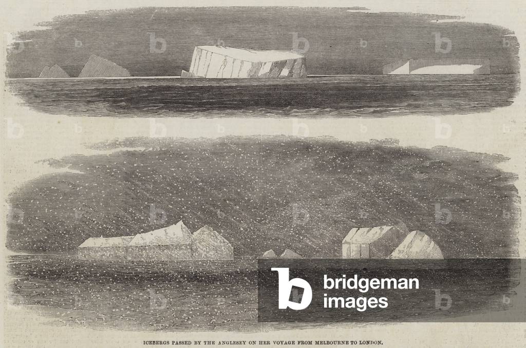 Icebergs passed by the Anglesey on her Voyage from Melbourne to London (engraving)